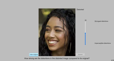 Image Quality Assessment | OpenReward